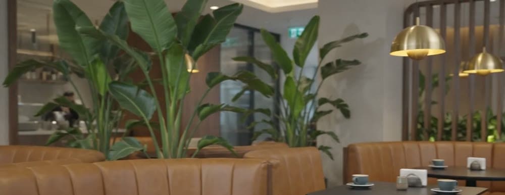 Banquette seating with planting and pendant lights